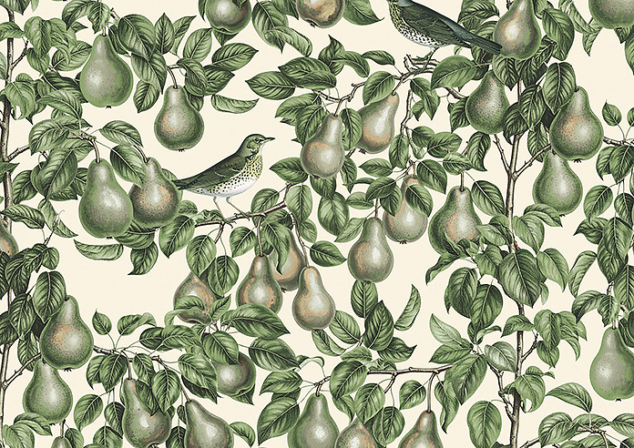 Pears, Coriscon - Roller Blind - Image 6